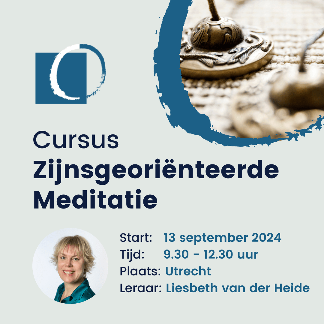 Liesbeth van der Heide. Zijnsgeoriënteerde meditatie